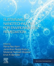 预订 Sustainable Nanotechnology for Environmental Remediation，英文原版