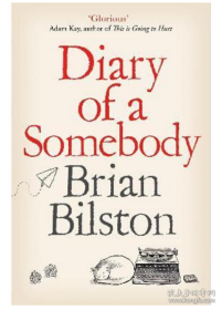 某人日记 Diary of a Somebody 英文原版