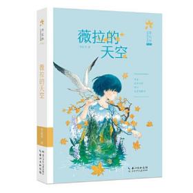 李东华女孩成长系列：薇拉的天空  （典藏版）