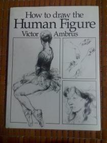 How to Draw the Human Figure