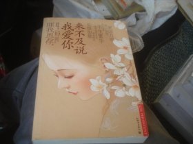 匪我思存作品 03 来不及说我爱你