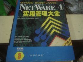 NET WARE 4 实用管理大全