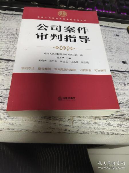 最高人民法院商事审判指导丛书：公司案件审判指导