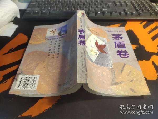 中国现代小说精品.茅盾卷