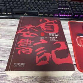 陆天明当代作品精选：省委书记