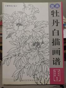 牡丹白描画谱 津美16开平装