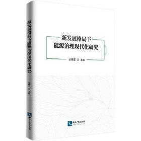 新发展格局下能源治理现代化研究