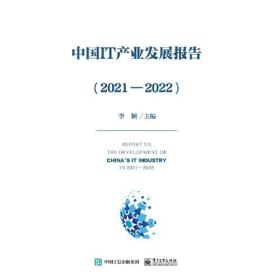 中国IT产业发展报告（2021—2022）