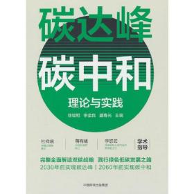 碳达峰碳中和理论与实践