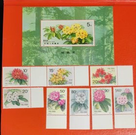 1991年 T162 杜鹃花 邮票（带边）+小型张（新、全品）