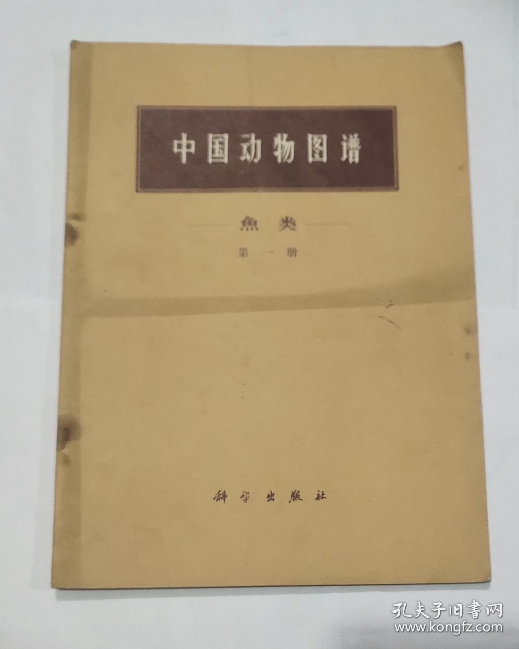 中国动物图谱 鱼类 第一册