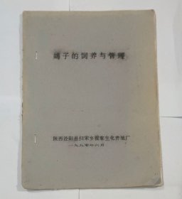 蝎子的饲养与管理