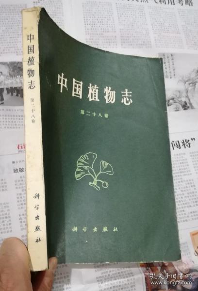 中国植物志 第二十八卷