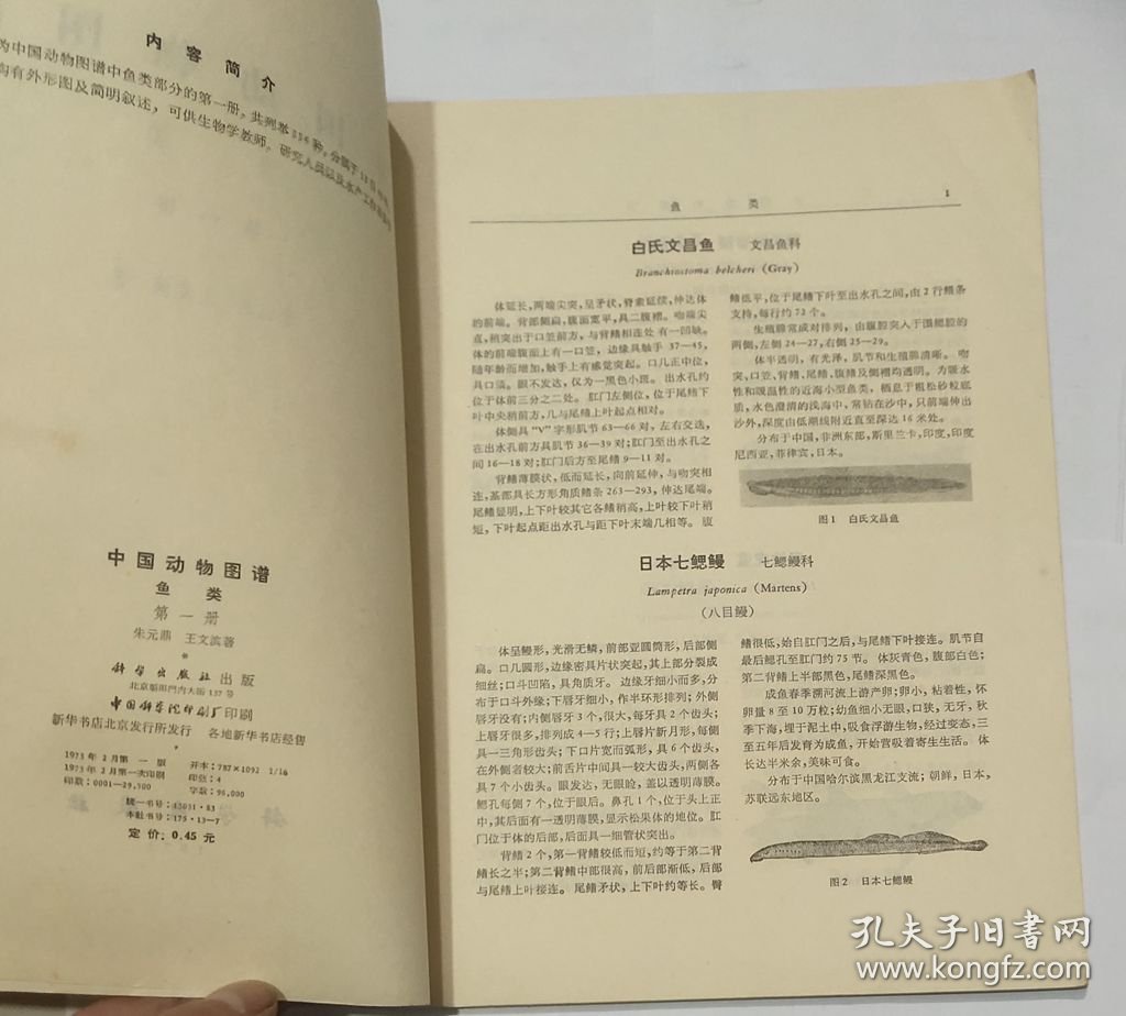 中国动物图谱 鱼类 第一册