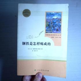 统编语文教材配套阅读 八年级下：钢铁是怎样炼成的/名著阅读课程化丛书