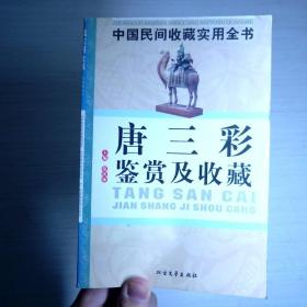 唐三彩鉴赏及收藏：中国民间收藏实用全书