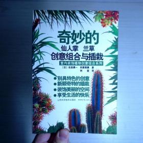 奇妙的仙人掌 兰草创意组合与插栽