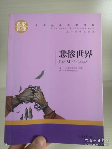 悲惨世界 中小学生课外阅读书籍世界经典文学名著青少年儿童文学读物故事书名家名译原汁原味读原著