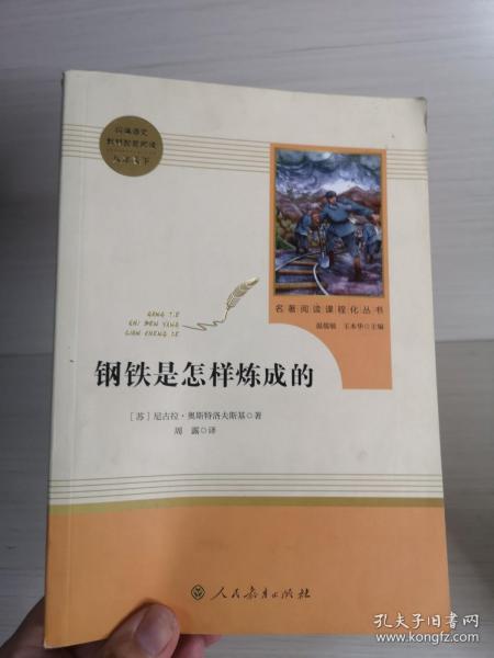 统编语文教材配套阅读 八年级下：钢铁是怎样炼成的/名著阅读课程化丛书