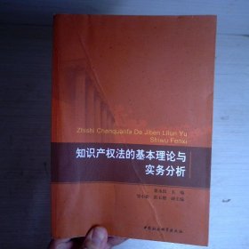 知识产权法的基本理论与实务分析