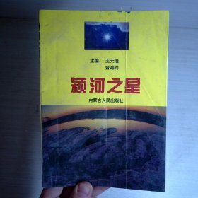 颍河之星:报告文学集