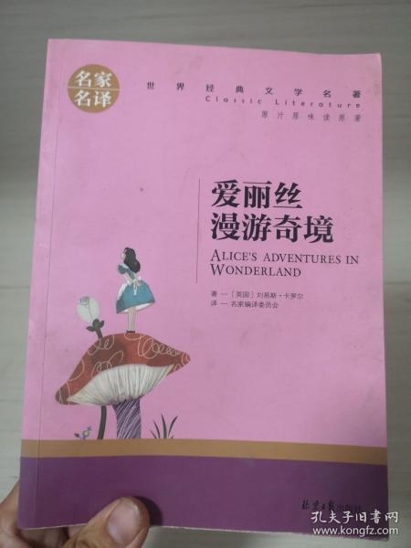 爱丽丝漫游奇境 中小学生课外阅读书籍世界经典文学名著青少年儿童文学读物故事书名家名译原汁原味读原著