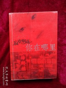 【41B】 寂寞烟花之你在哪里（特惠品）看好图片下单书品如图