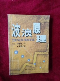 【箱10】波浪原理 书内文有笔记划线 看好图片下单 书品如图