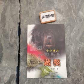 中华神犬：藏獒