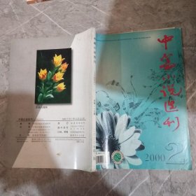 中篇小说选刊2000  2