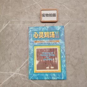 心灵鸡汤：世界畅销书译丛