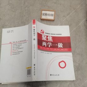 聚焦两学一做