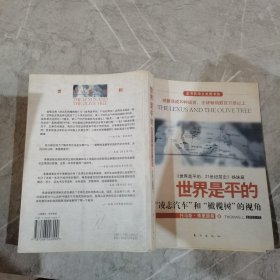 世界是平的：《世界是平的：21世纪简史》姊妹篇