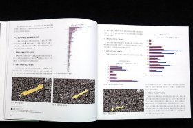 正版全新 中国传统聚落与民居研究 北京杂院窑洞民居厦门骑楼民宿之美书籍