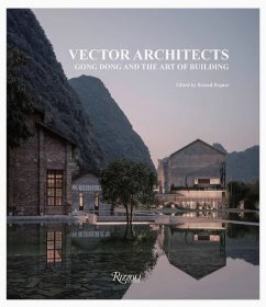 英文原版 Vector Architects 进口艺术 直向建筑 董功与建筑艺术 Rizzoli
