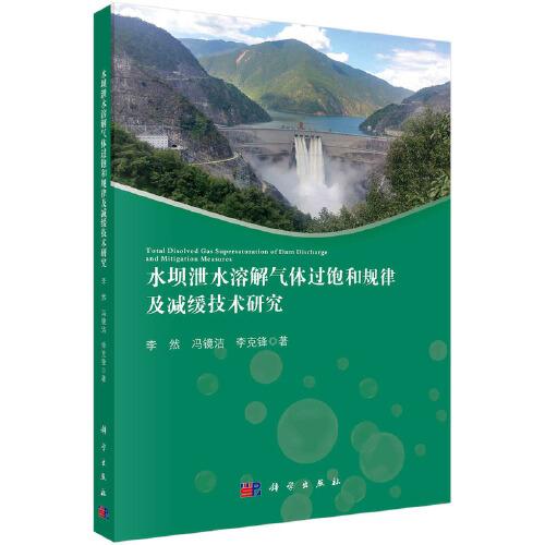 水坝泄水溶解气体过饱和规律及减缓技术研究