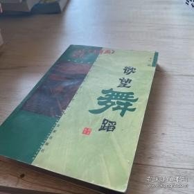 欲望舞蹈（北京青年报精粹）——视点丛书