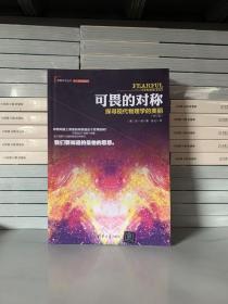 可畏的对称：探寻现代物理学的美丽