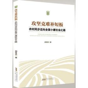 攻坚克难补短板：农村同步迈向全面小康社会之路