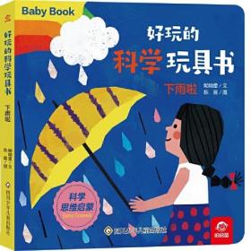 好玩的科学玩具书：下雨啦