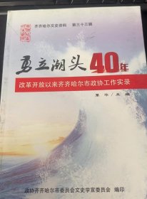 勇立潮头40年改革开放以来齐齐哈尔市政协工作实录33：（在推荐语和图片看目录）