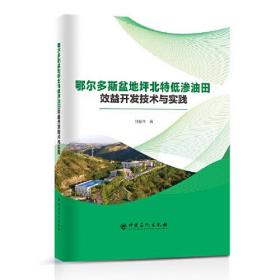 鄂尔多斯盆地坪北特低渗油田效益开发技术与实践