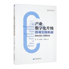 产业数字化升级微观实现机制：国际实践与中国经验