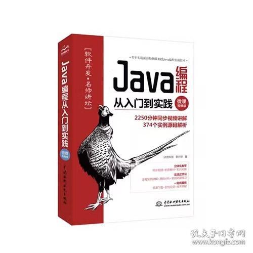 Java编程从入门到实践（微课视频版）