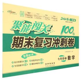 聚能闯关期末复习冲刺卷 数学 7年级下 人教版 全新修订版 2024