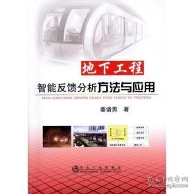 地下工程智能反馈分析方法与应用 冶金、地质 姜谙男