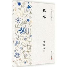 死水 中国现当代文学 叶兆言