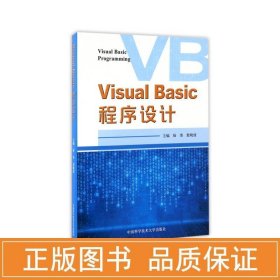 visual basic程序设计 编程语言 作者 新华正版