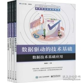 数据驱动的技术基础(全4册) 教学方法及理论 作者