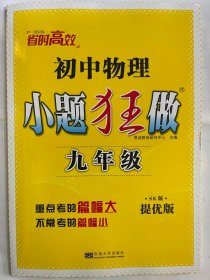 2024秋  初中物理  小题狂做   九年级 （提优版）SK版